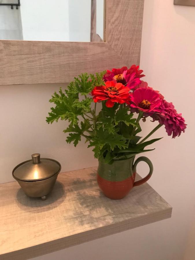 Eva'S House Apartment Skiathos Town Bagian luar foto